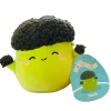 Squishmallow Nash The Broccoli 5" Stuffed Plush By Kelly Toy